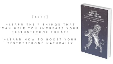 Guide to Boosting Testosterone gallery image
