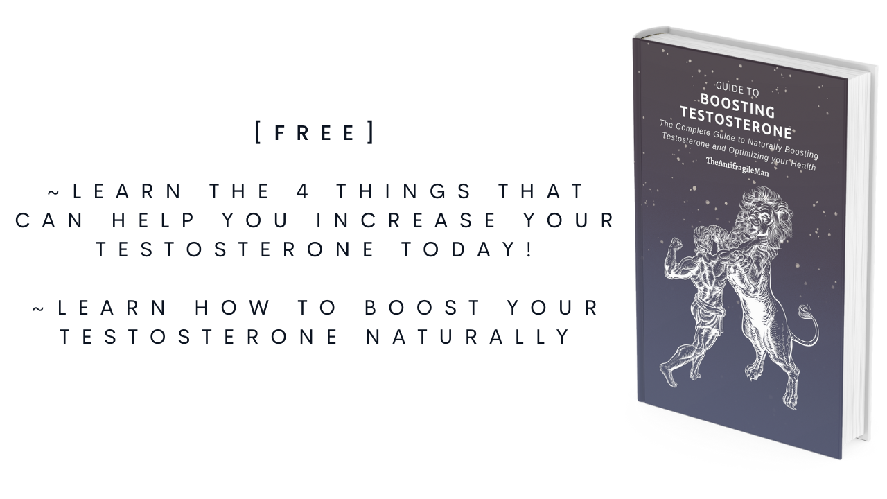 Media Hướng dẫn tăng testosterone - Hướng dẫn đầy đủ để tăng testosterone tự nhiên. 1
