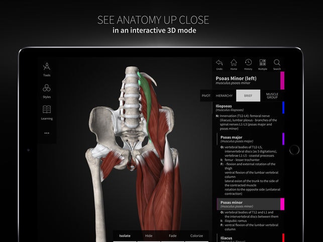 Anatomyka gallery image