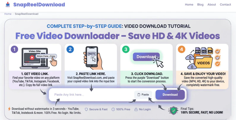 SnapReelDownload