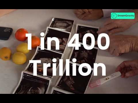 DreamGravity gallery image