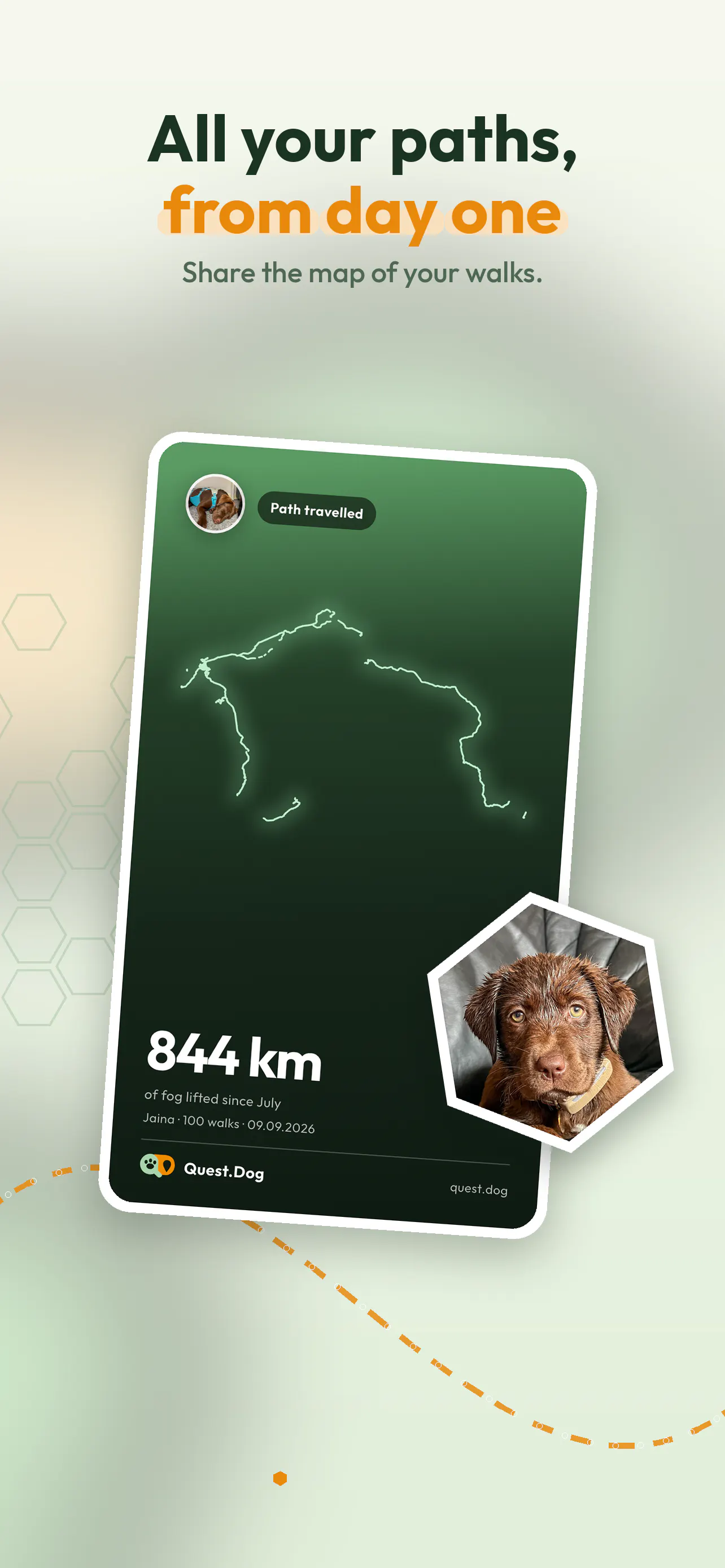 Quest.Dog Fresh walk ideas for your dog gallery image