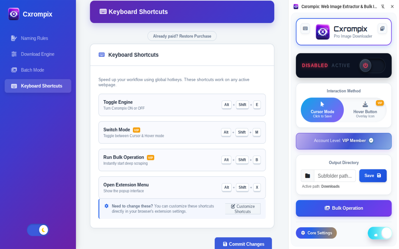 Cxrompix: Web Image Extractor gallery image