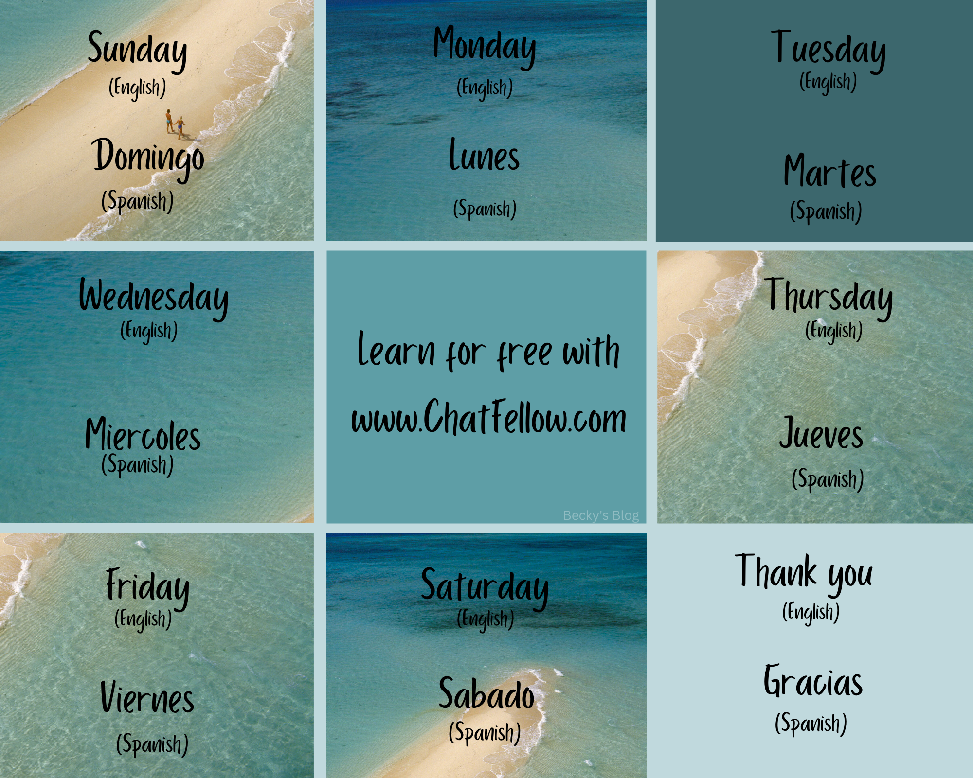 ChatFellow gallery image