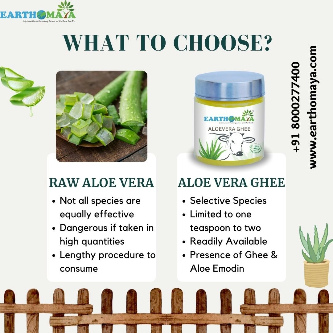 Aloe vera Ghee - Unique product with benefits in skin & hair media 4