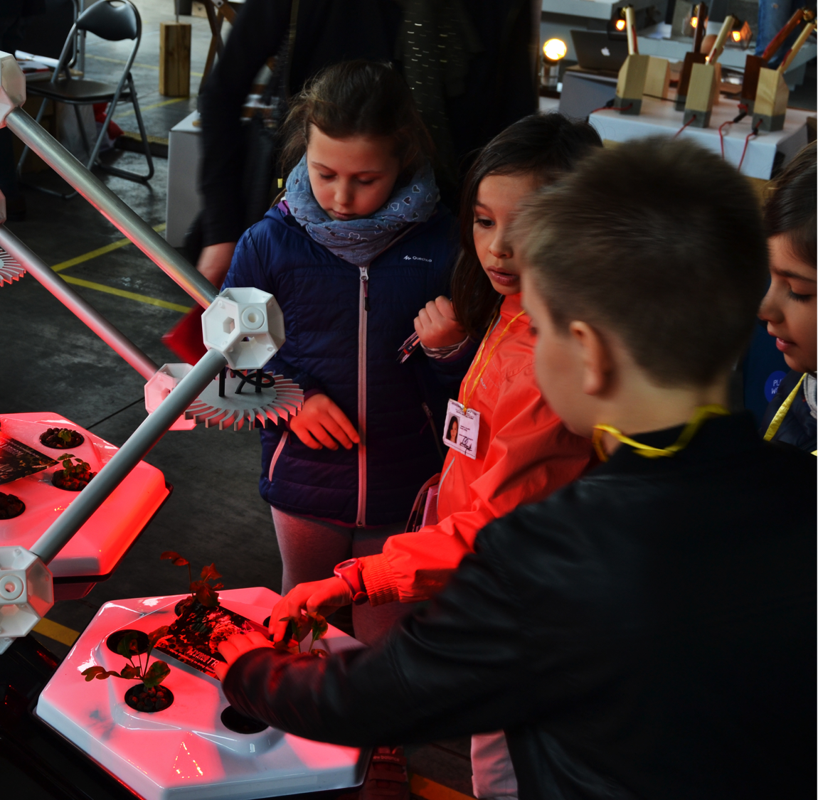 The Living Farming Tree gallery image