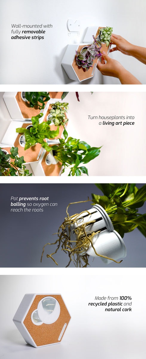 The Noku Canvas gallery image