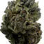 Cherry Pie (Hybrid/Indica) - 5 MWDC