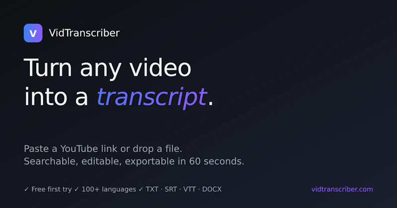 VidTranscriber screenshot 1