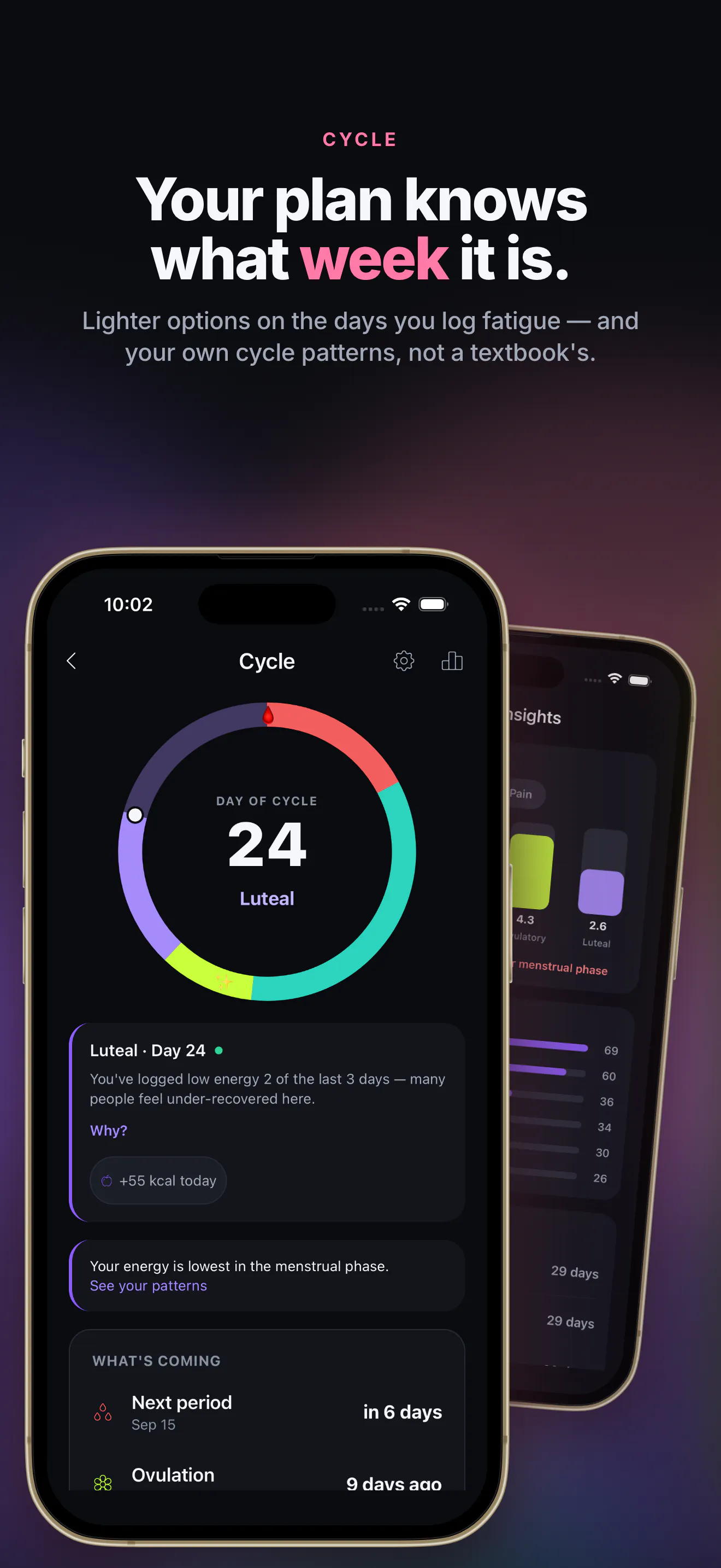 Tvara: AI Gym, Running & Food gallery image