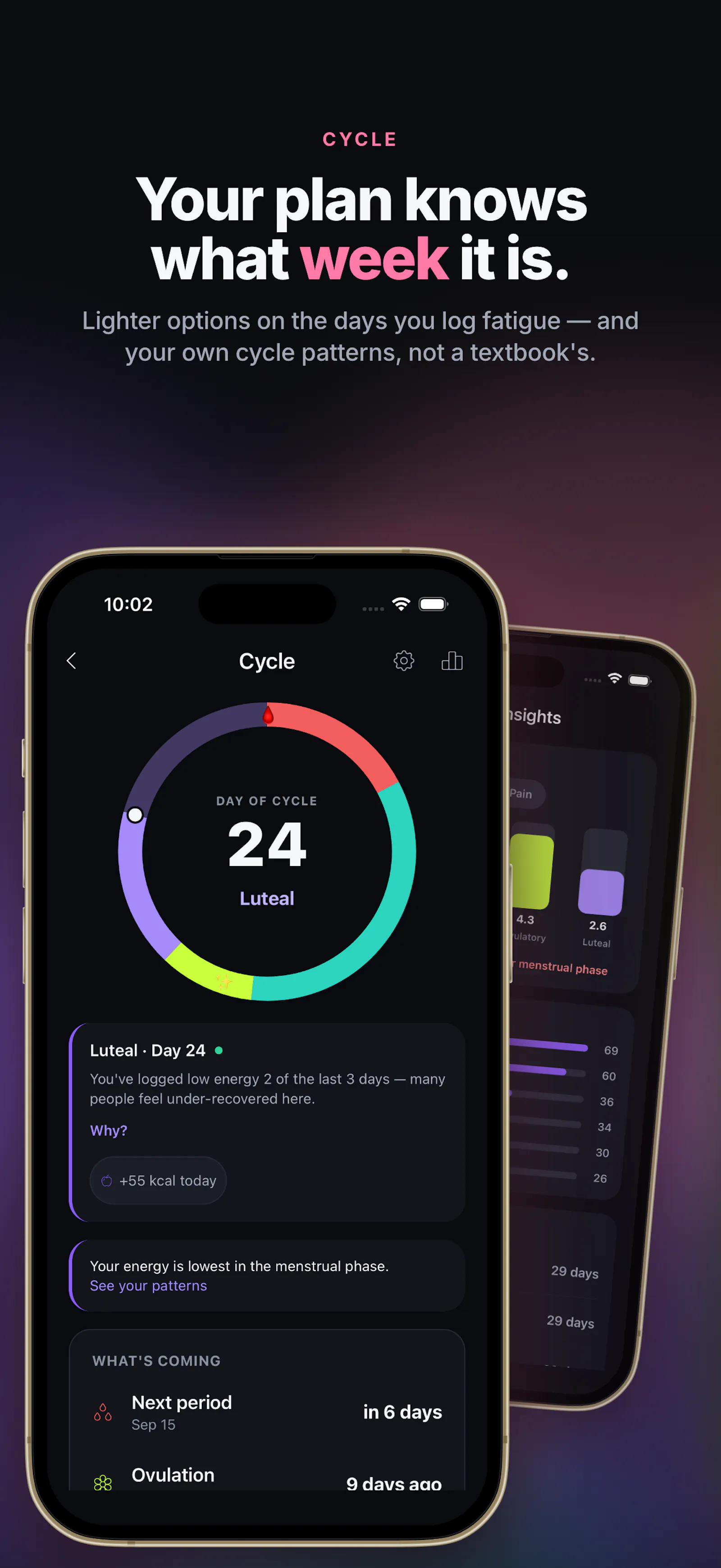Tvara: AI Gym, Running & Food screenshot 9