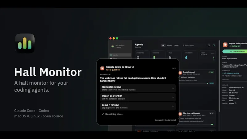 Hallmonitor screenshot 1 (video preview)