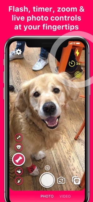 DogCam - Dog Selfie Camera gallery image