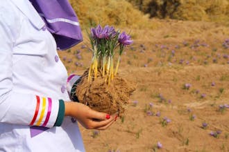 Saffron gallery image