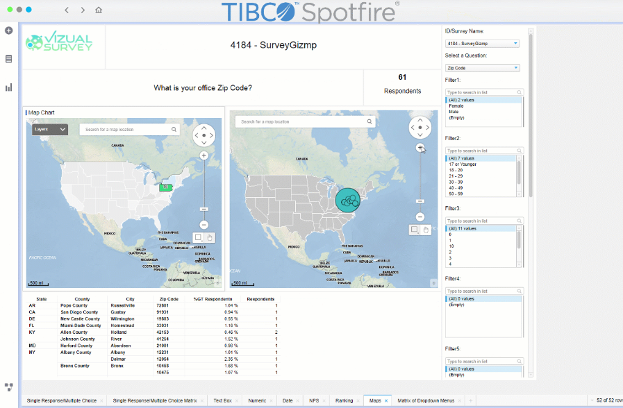 VizualSurvey gallery image