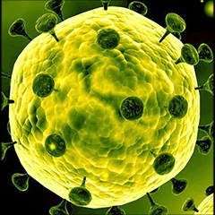 🦠 Novel CoronaVirus Bot for Facebook Messenger