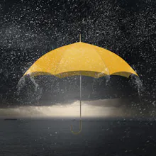 Binomo gallery image