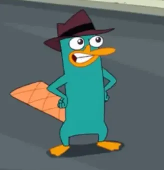Platyps gallery image