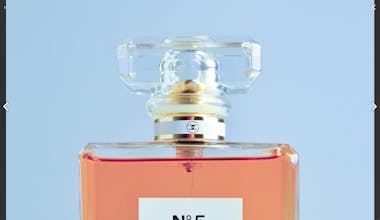 React Motion Gallery gallery image