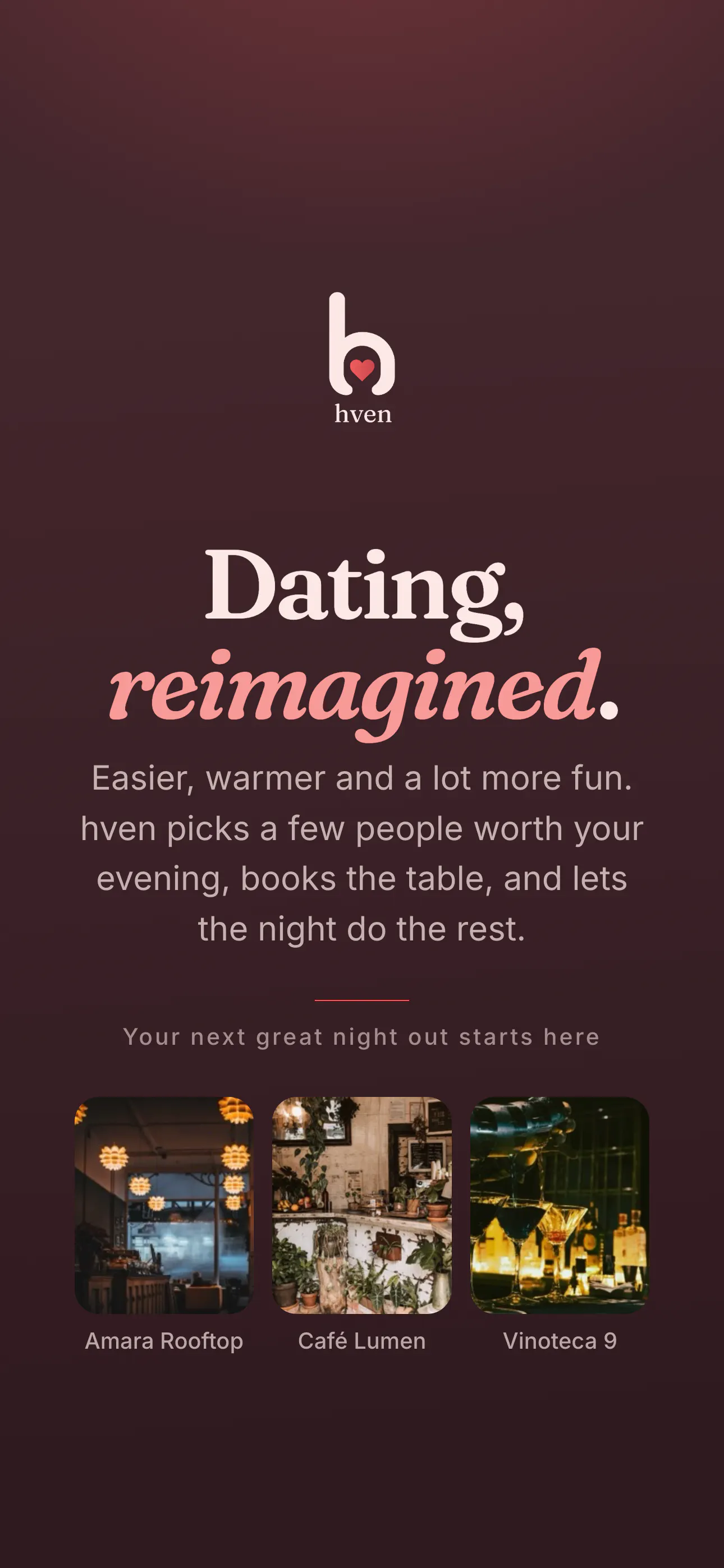 HVEN: All-in-one Dating Platform gallery image