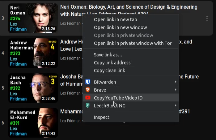 Kopieer YouTube -video -ID media 2