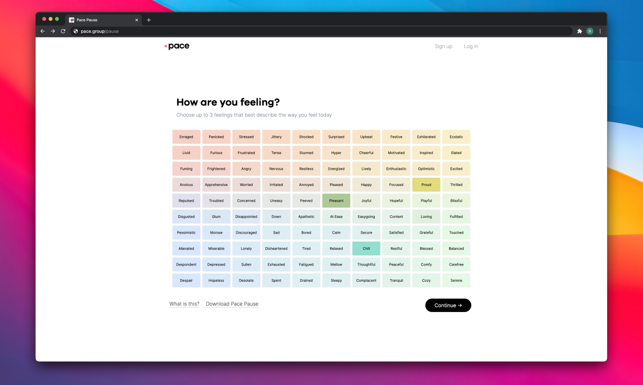 Pace Pause gallery image