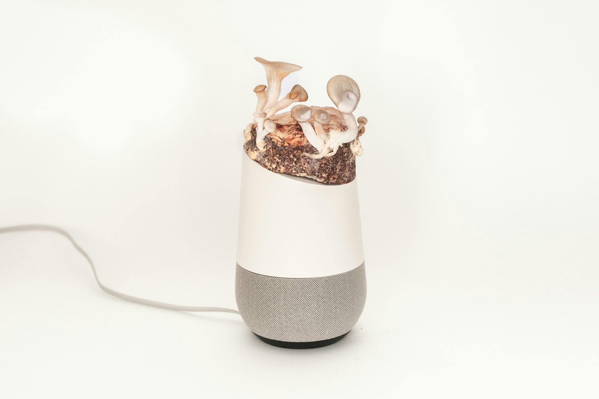 Project Alias gallery image