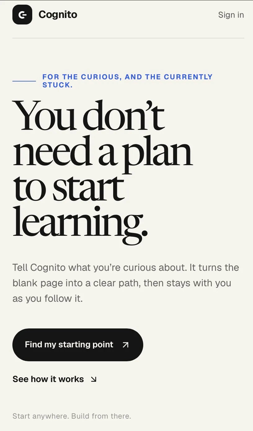 Cognito gallery image