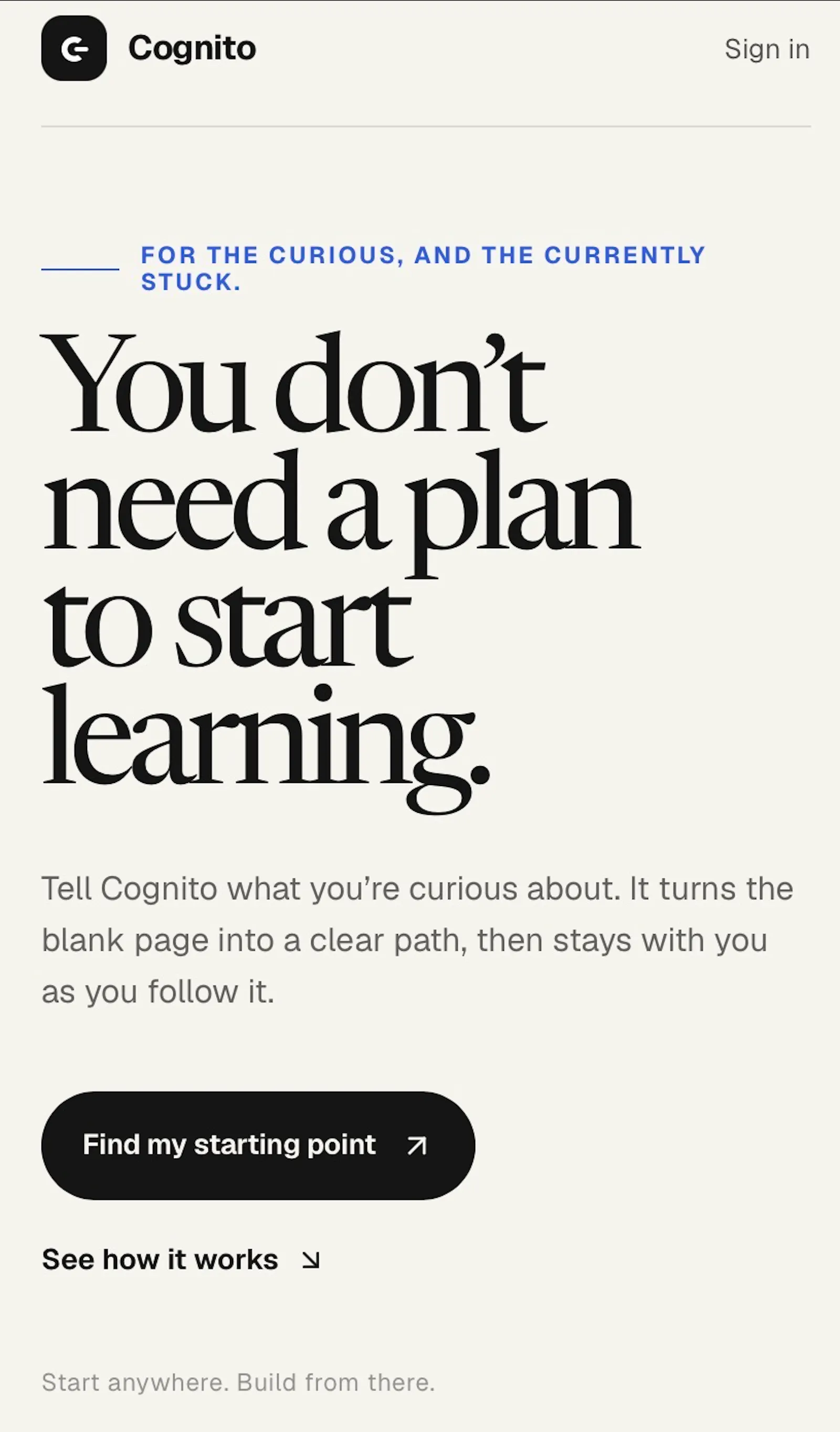 Cognito screenshot 1
