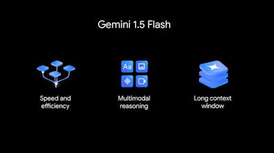 Gemini 1.5 Flash gallery image