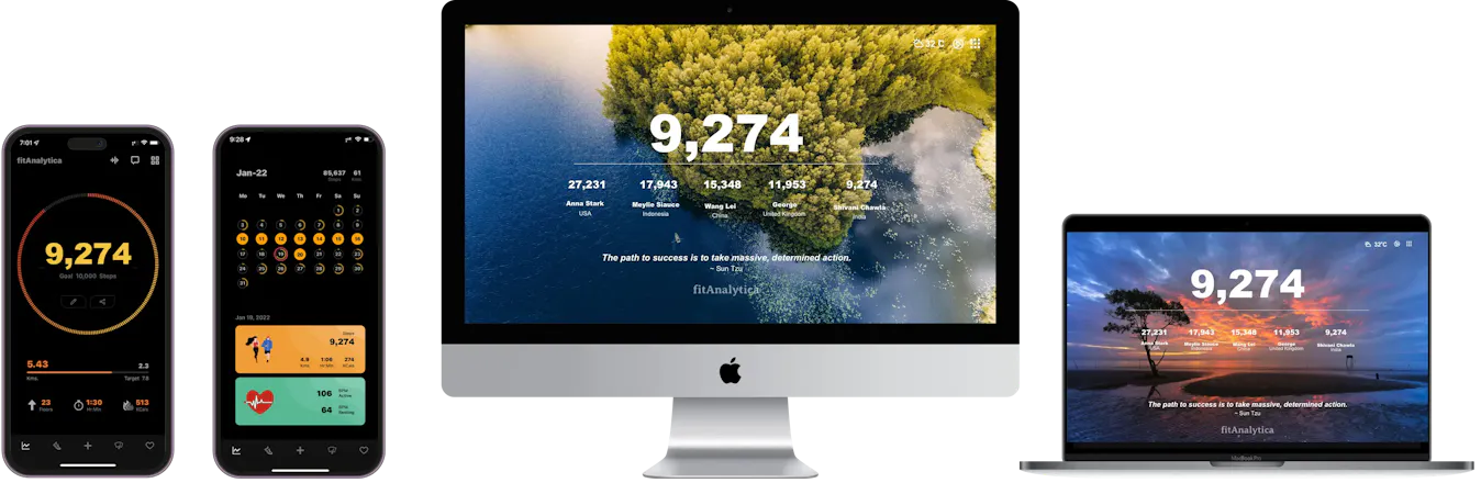fitAnalytica - Fitness Tracker on Chrome gallery image