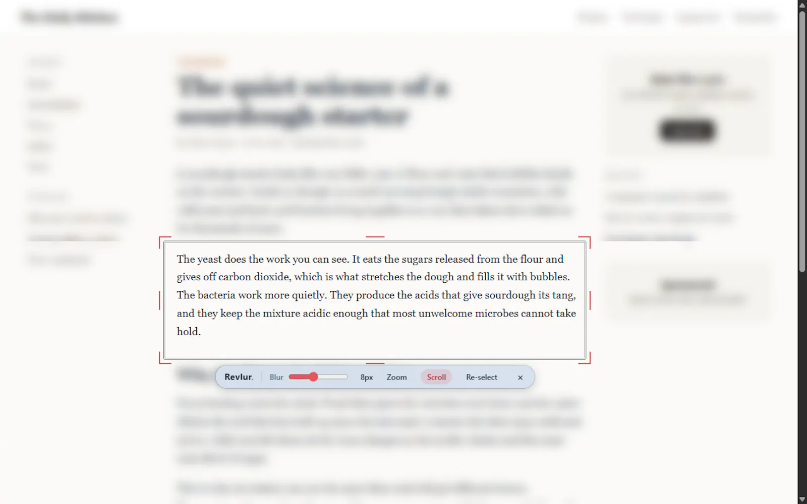 Revlur - Chrome Extension screenshot 5