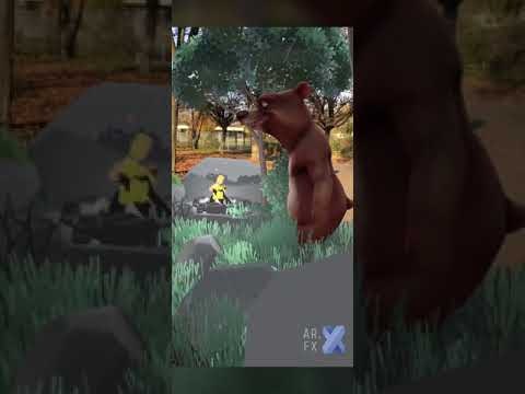 AR.fx