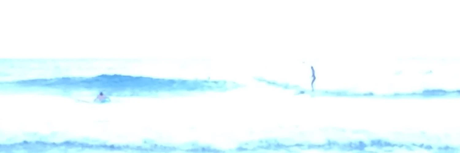 Lauren Cucinotta cover