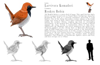 Type Creativv Design Agency gallery image