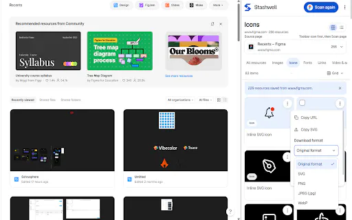 Stashwell — Web Media Downloader gallery image