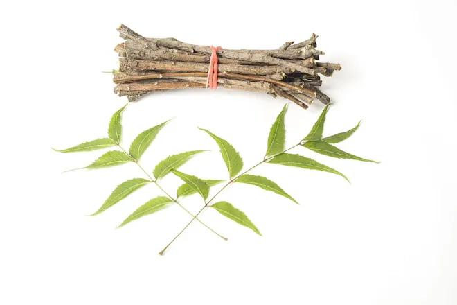 Ayurvedic Treatment of Covid 19 gallery image