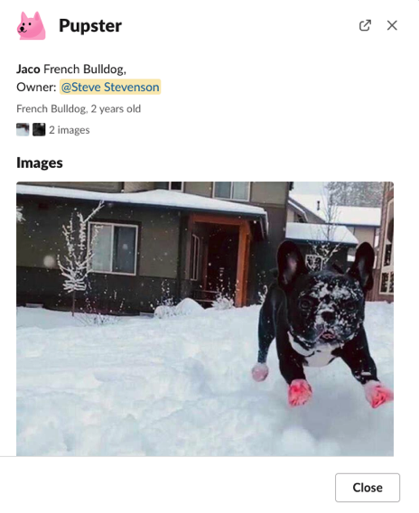 Pupster gallery image