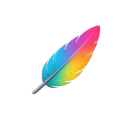 Bird Palette
