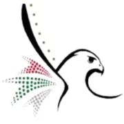 UAE Visa Status