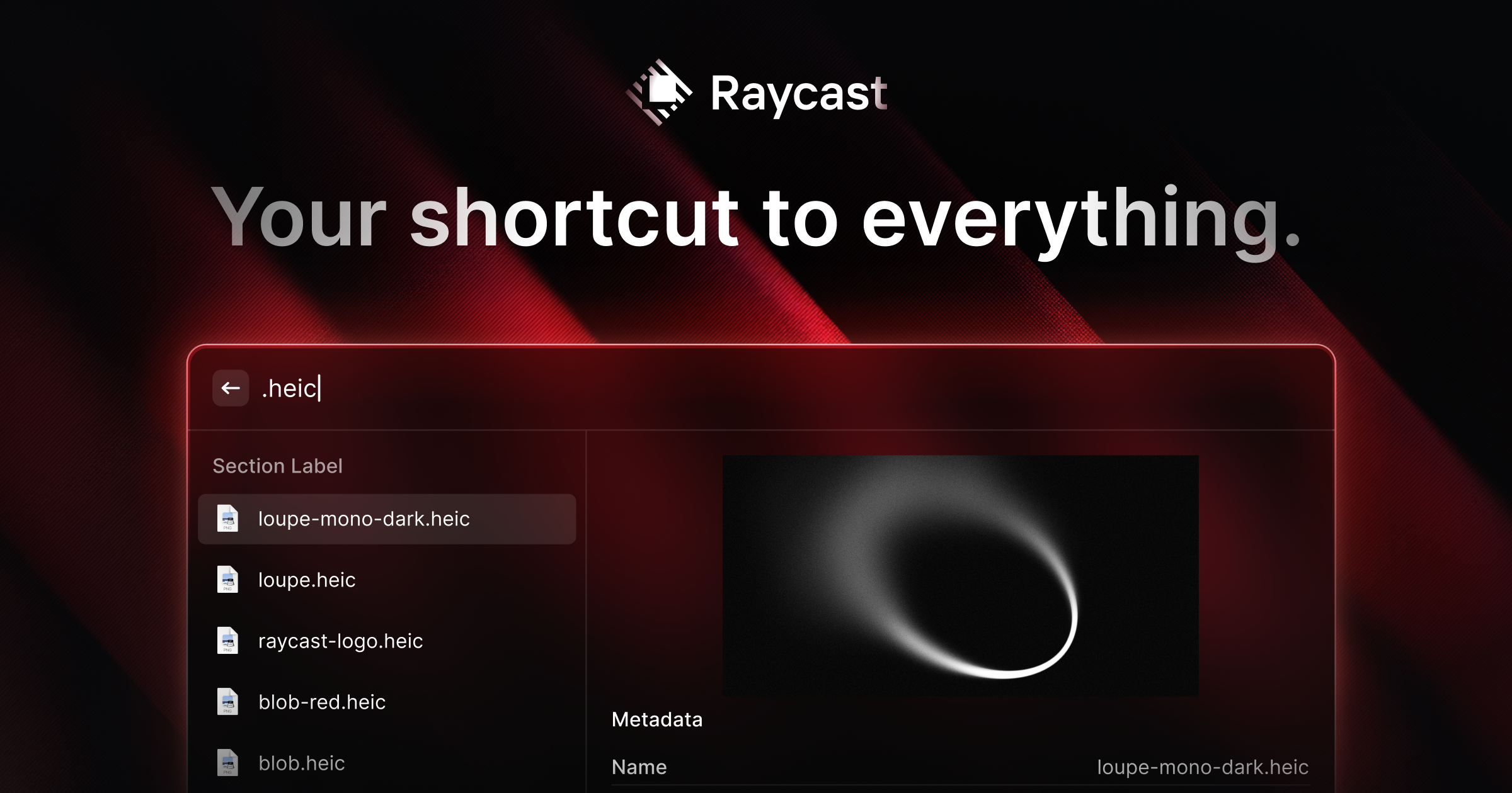 Raycast Product Image