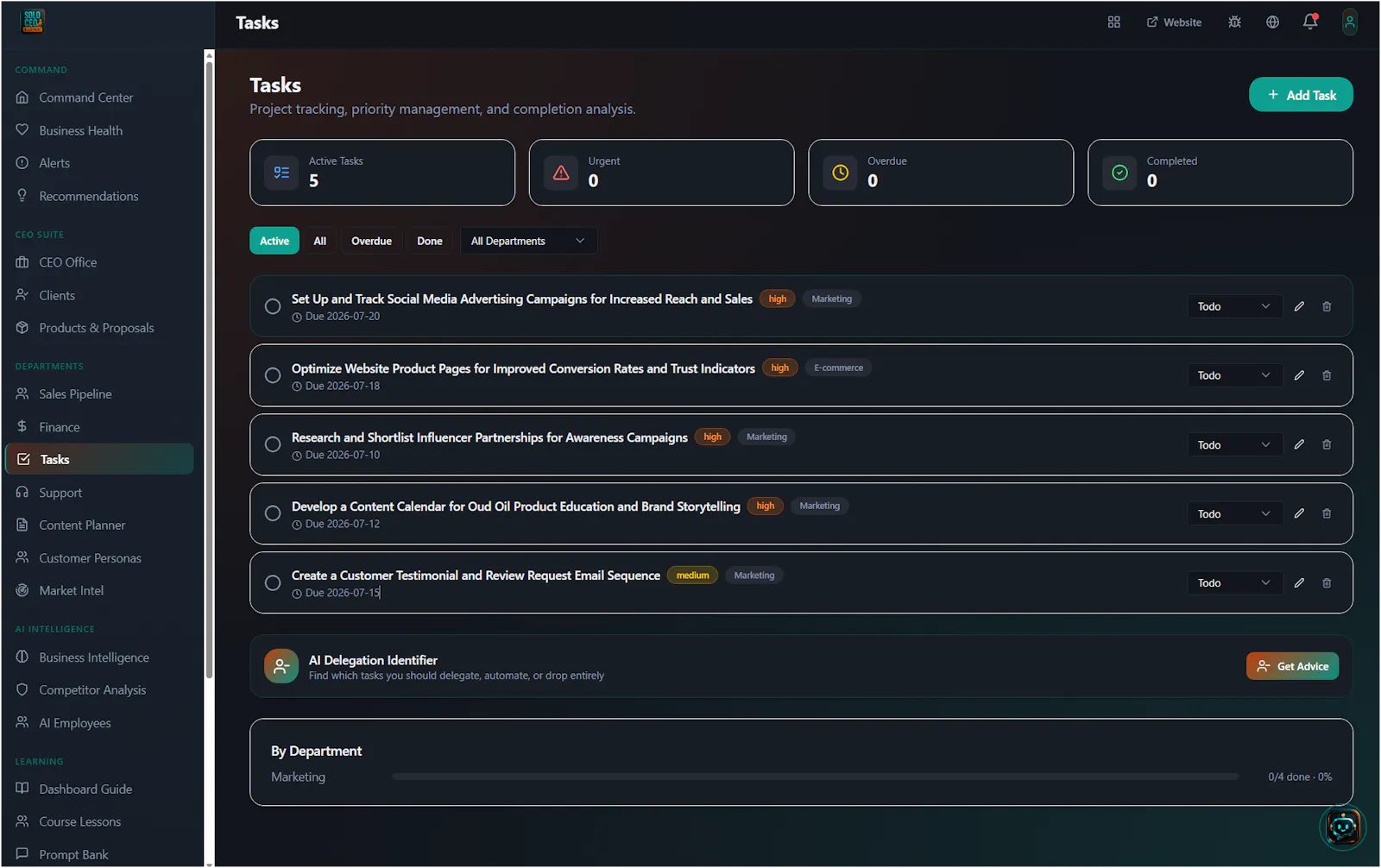 Solo CEO Blueprint Dashboard screenshot 5