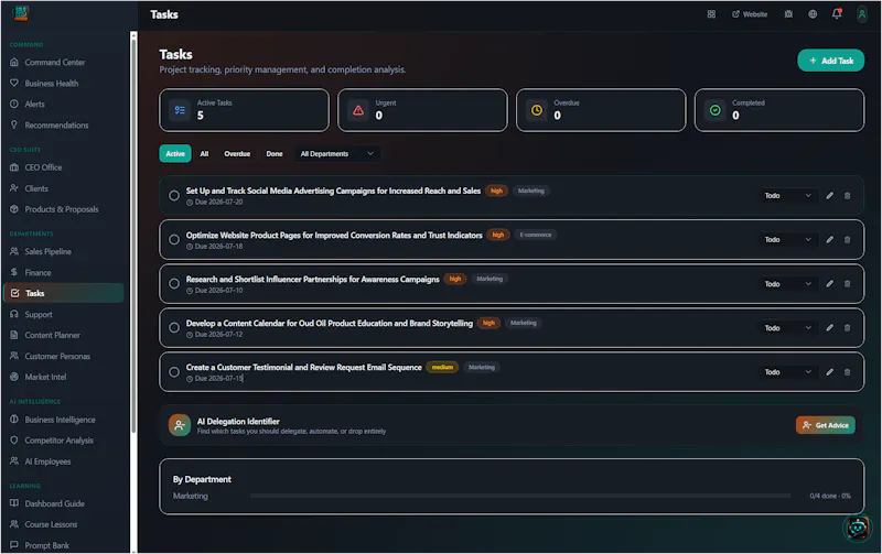 Solo CEO Blueprint Dashboard screenshot 5