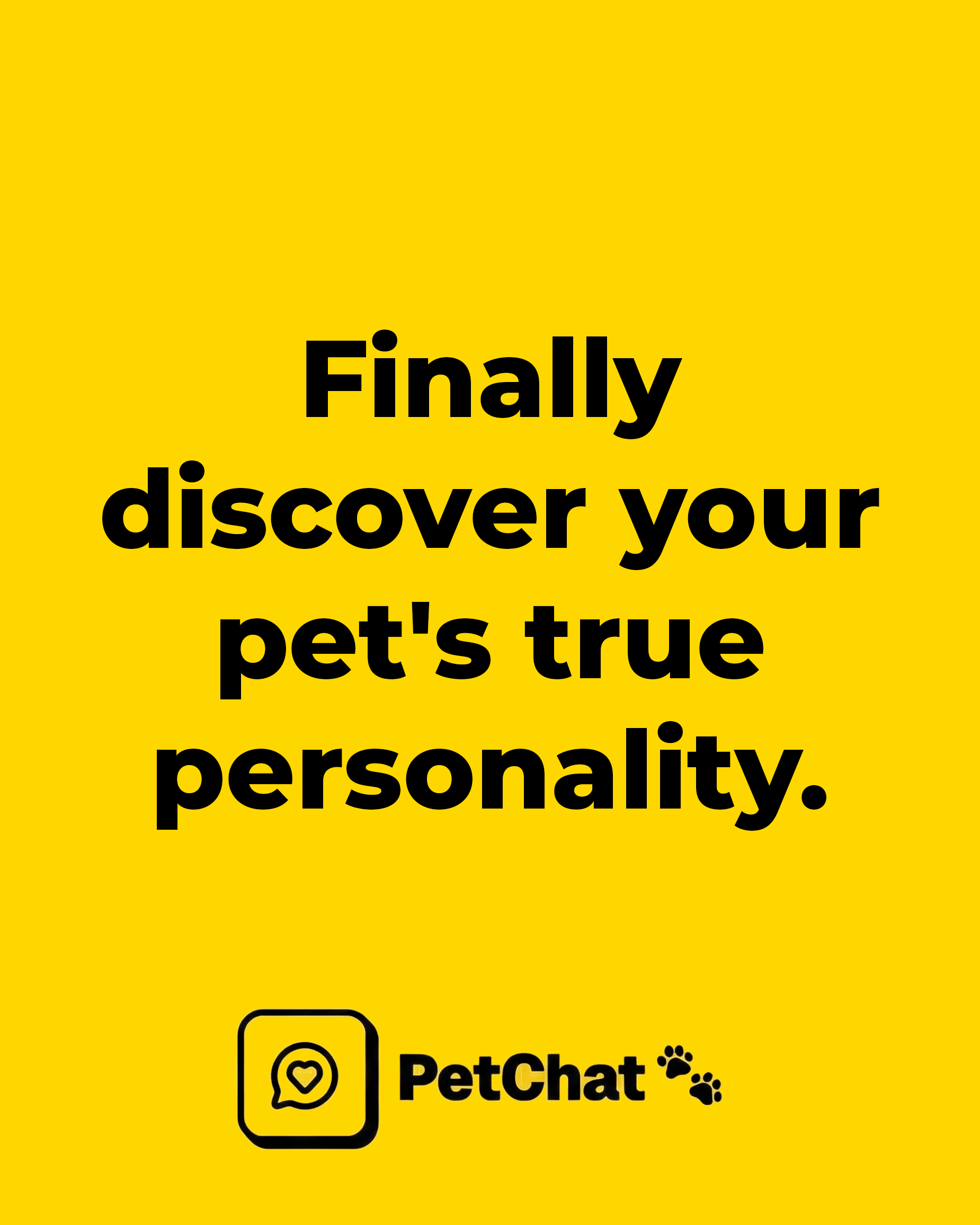 PetChat - Main product screenshot demonstrating key features and user interface