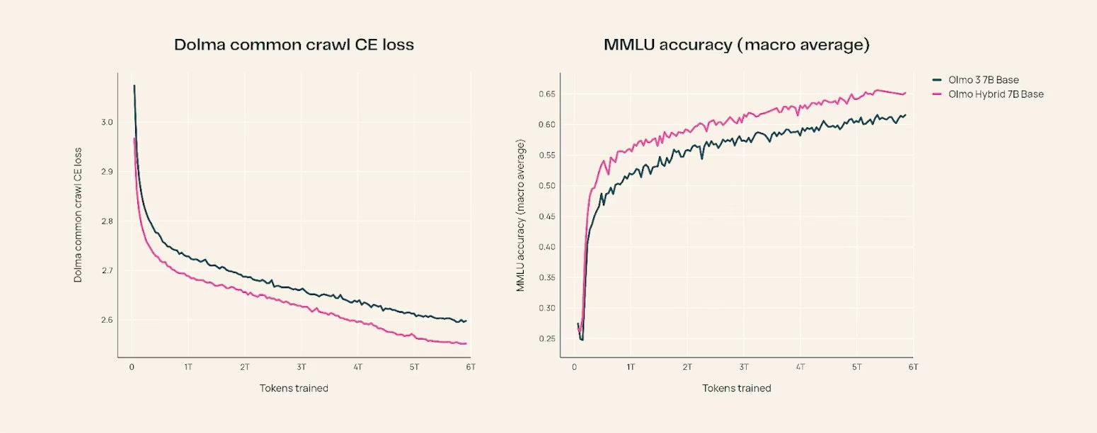 Olmo Hybrid 畫廊圖片
