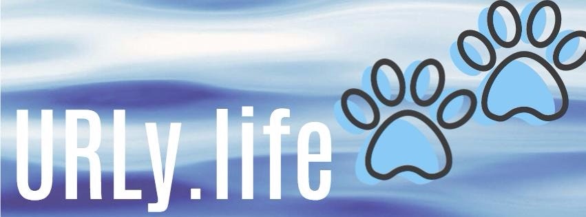 URLY.LIFE URL SHORTENER gallery image