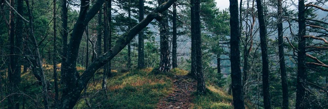 Florent Quinti cover