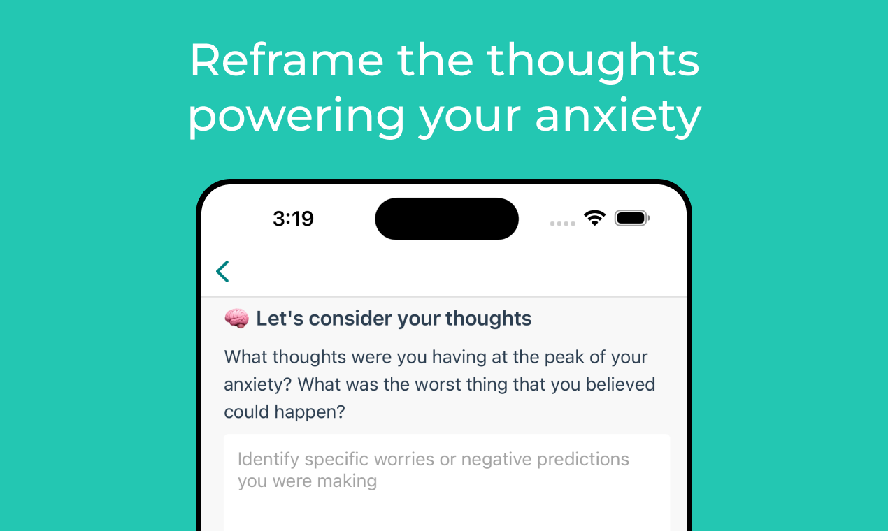 Angst Journal App media 3