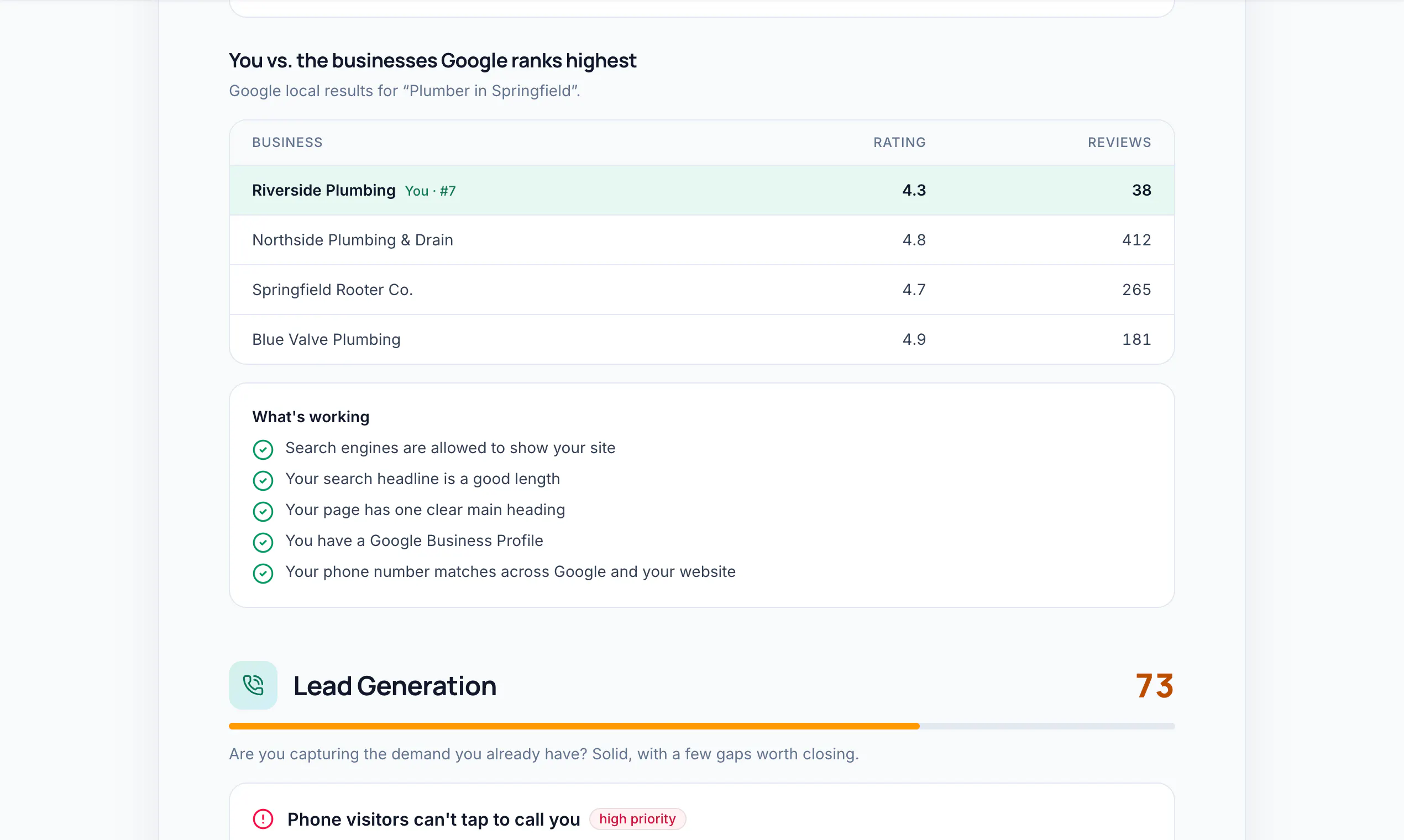LocalBusinessAudit gallery image