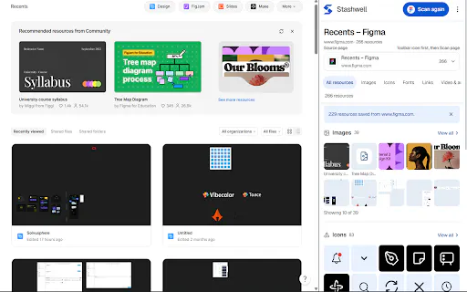 Stashwell — Web Media Downloader gallery image